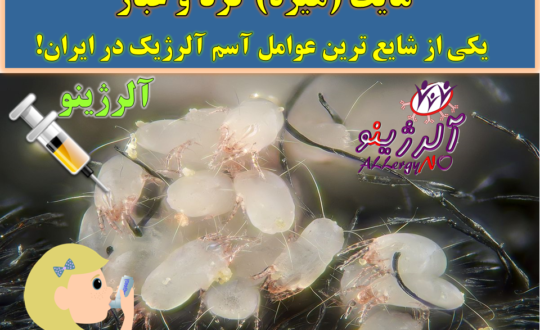 مایت (هیره) گرد و غبار- یکی از شایع ترین عوامل آسم در ایران- آلرژینو