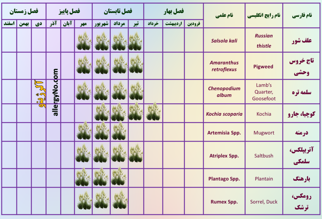 تقویم گرده افشانی علف های هرز آلرژی زا آلرژینو