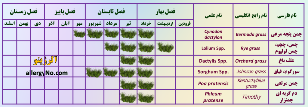 تقویم گرده افشانی- چمن های آلرژی زا- آلرژینو