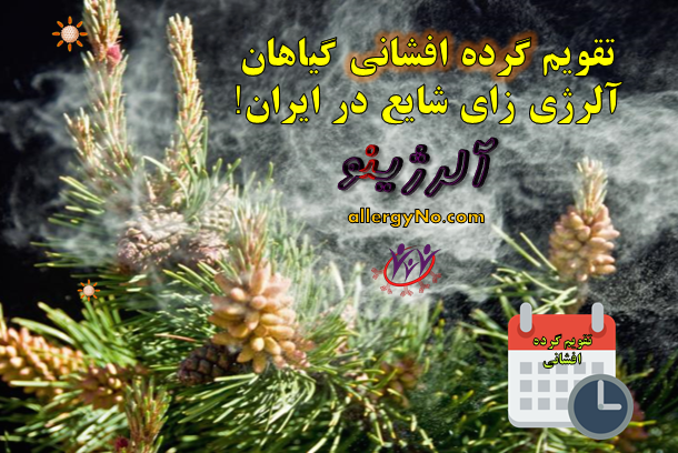 تقویم گرده افشانی گیاهان آلرژی زای شایع در ایران- آلرژینو