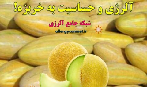 آلرژی-و-حساسیت-به-خربزه- آلژینو