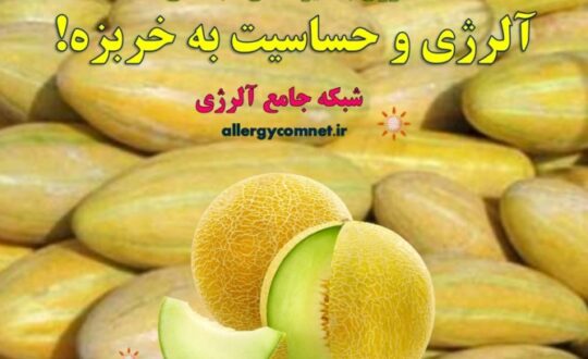 آلرژی-و-حساسیت-به-خربزه- آلژینو