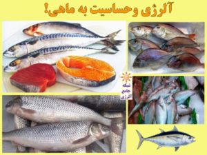 آلرژی و حساسیت به ماهی ۲-شبکه جامع آلرژی