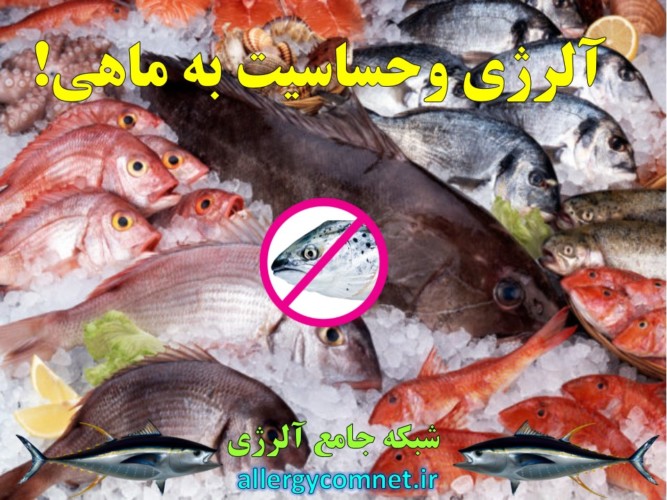 آلرژی-و-حساسیت-به-ماهی-شبکه-جامع-آلرژی