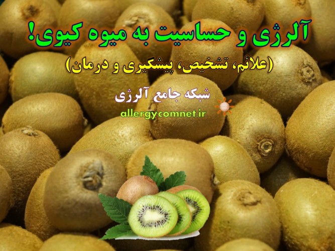 آلرژی-و-حساسیت-به-میوه-کیوی- آلژینو