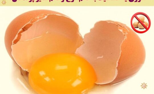 آلرژی-یا-حساسیت-به-تخم-مرغ-و-تخم-سایر-پرندگان