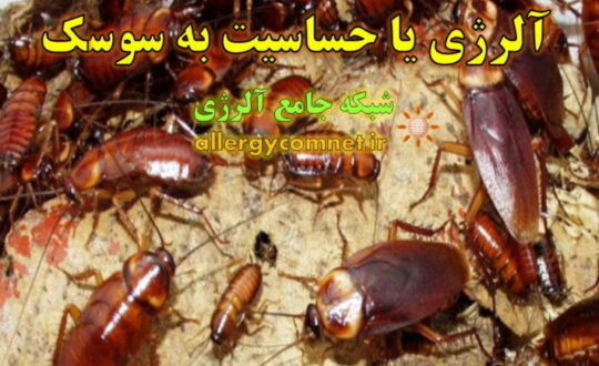 آلرژی-یا-حساسیت-به-سوسک-شبکه-جامع-آلرژی