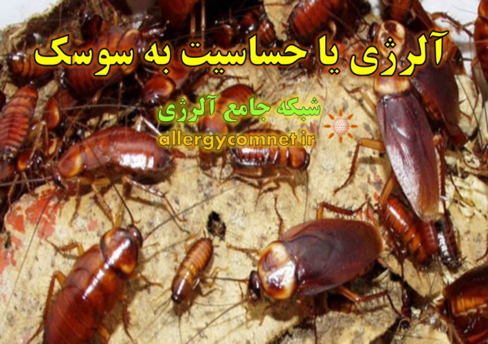 آلرژی-یا-حساسیت-به-سوسک-شبکه-جامع-آلرژی