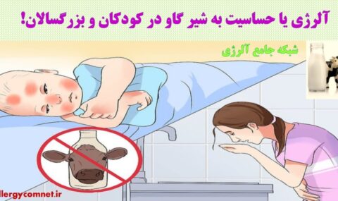 آلرژی-یا-حساسیت-به-شیر-گاو-در-کودکان-و-بزرگسالان