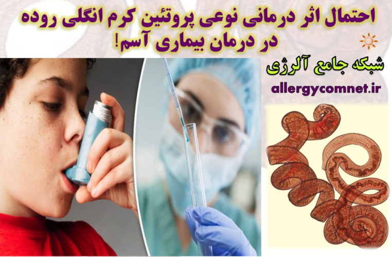 احتمال-اثر-درمانی-نوعی-پروتئین-کرم-انگلی-روده-در-درمان-بیماری-آسم-شبکه-جامع-آلرژی