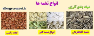 انواع تخمه ها- شبکه جامع آلرژی