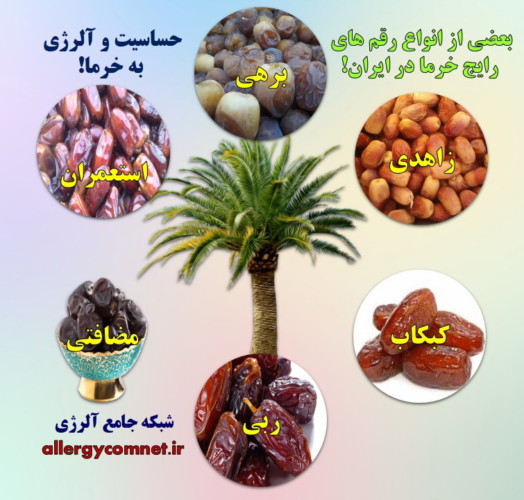 حساسیت و آلرژی به خرما ۲- شبکه جامع آلرژی