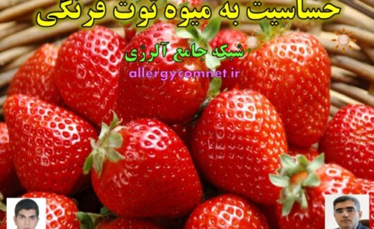 حساسیت-یا-آلرژی-به-میوه-توت-فرنگی-شبکه-جامع-آلرژی