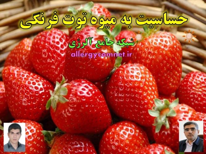 حساسیت-یا-آلرژی-به-میوه-توت-فرنگی-شبکه-جامع-آلرژی
