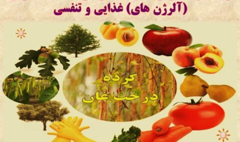 راهنمای-جامع-واکنش-متقاطع-مواد-حساسیت-زای-آلرژن-های-غذایی-و-تنفسی- آلژینو