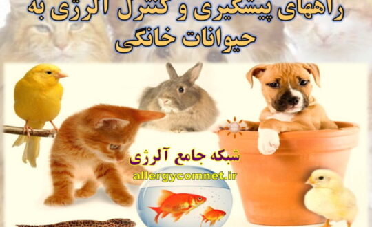 راههای-پیشگیری-و-کنترل-آلرژی-به-حیوانات-خانگی-شبکه-جامع-آلرژی