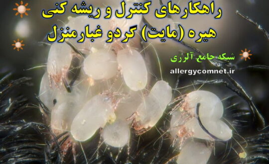 راهکارهای-کنترل-و-ریشه-کنی-هیره-مایت-گردو-غبارمنزل-شبکه-جامع-آلرژی-1