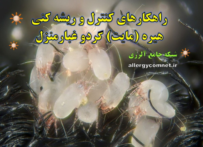 راهکارهای-کنترل-و-ریشه-کنی-هیره-مایت-گردو-غبارمنزل-شبکه-جامع-آلرژی-1