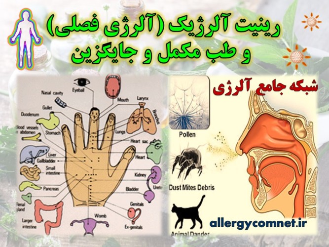 رینیت-آلرژیک-آلرژی-فصلی-و-طب-مکمل-و-جایگزین-شبکه-جامع-آلرژی