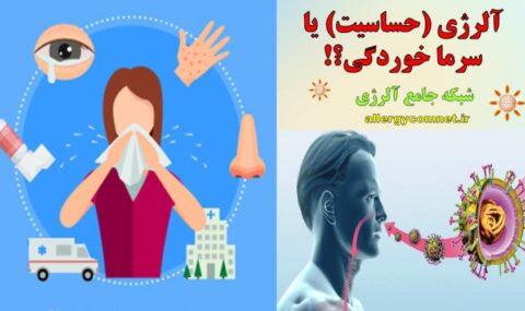 سرماخوردگی-یا-آلرژی-1