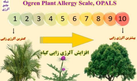 سیستم-درجه-بندی-میزان-آلرژی-زایی-گیاهان