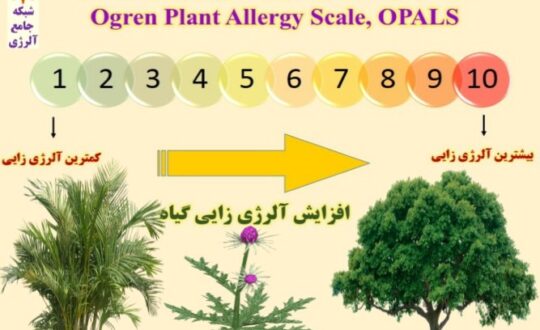سیستم-درجه-بندی-میزان-آلرژی-زایی-گیاهان