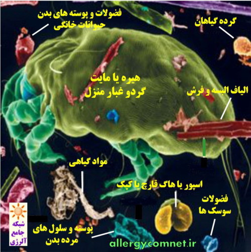 مواد حساسیت زای تنفسی داخل خانه ۲- شبکه جامع آلرژی