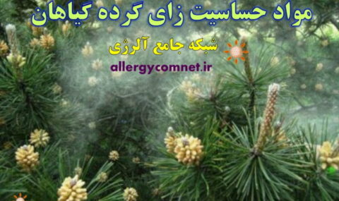 مواد-حساسیت-زای-گرده-گیاهان-شبکه-جامع-آلرژی