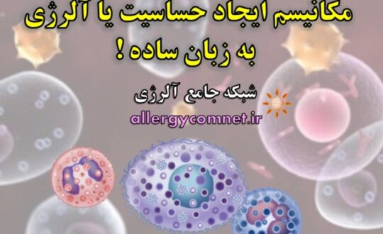 مکانیسم-ایجاد-حساسیت-یا-آلرژی-به-زبان-ساده-شبکه-جامع-آلرژی