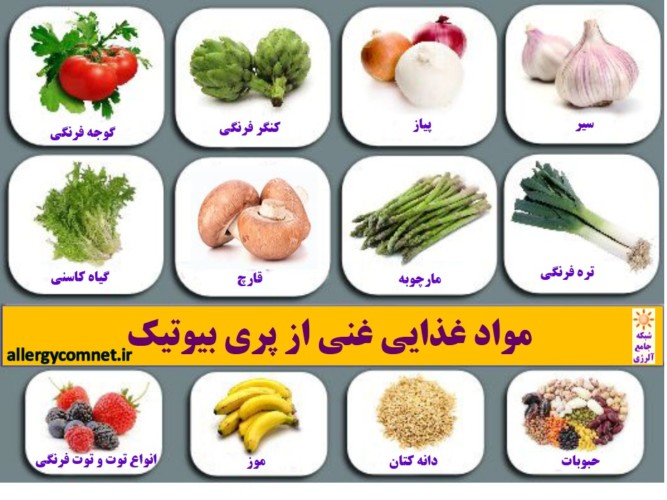 میکروب درمانی بیماری های آلرژیک. پروبیوتیک و پری بیوتیک ۳- شبکه جامع آلرژی