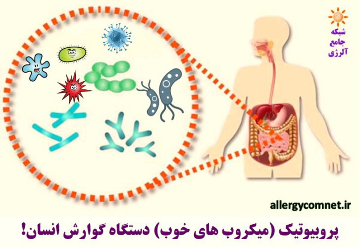 میکروب درمانی بیماری های آلرژیک. پروبیوتیک و پری بیوتیک- شبکه جامع آلرژی
