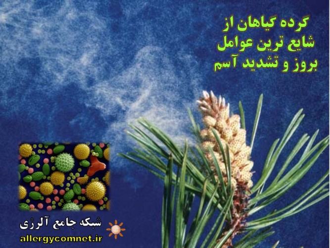هفت عامل اصلی بروز و تشدید عوارض و حملات آسم در کودکان و بزرگسالان ۸٫شبکه جامع آلرژی