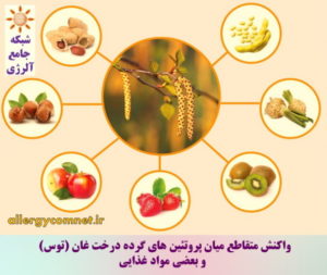 واکنش متقاطع میان مواد حساسیت زای غذایی و تنفسی ۱- شبکه جامع آلرژی