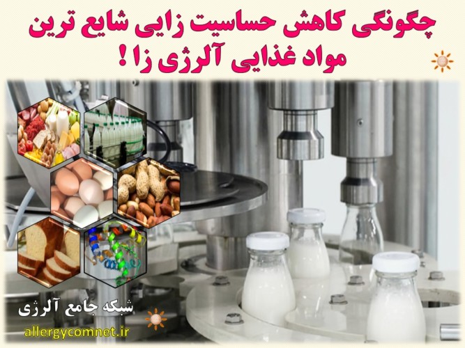 چگونگی-کاهش-حساسیت-زایی-شایع-ترین-مواد-غذایی-آلرژی-زا- آلژینو