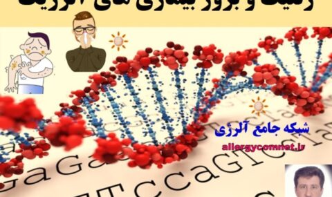 ژنتیک-و-بروز-بیماری-های-آلرژیک-شبکه-جامع-آلرژی