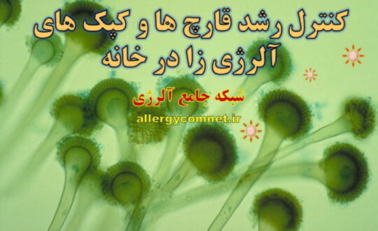 کنترل-رشد-قارچ-ها-و-کپک-های-آلرژی-زا-در-خانه-شبکه-جامع-آلرژی
