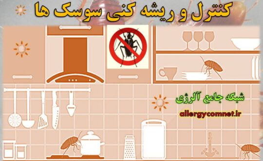 کنترل-و-ریشه-کنی-سوسک-ها-شبکه-جامع-آلرژی