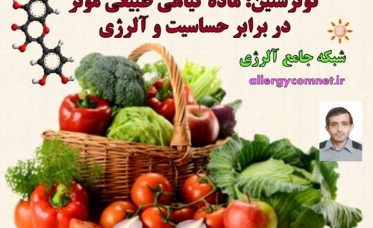کوئرستین-ماده-گیاهی-طبیعی-موثر-در-برابر-حساسیت-و-آلرژی-شبکه-جامع-آلرژی-1