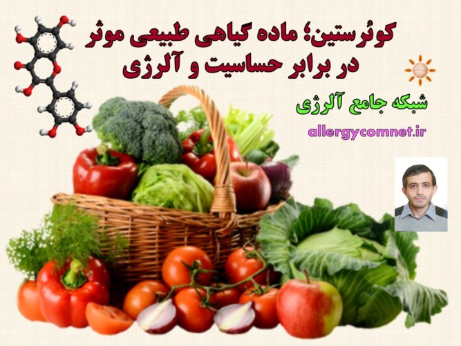 کوئرستین-ماده-گیاهی-طبیعی-موثر-در-برابر-حساسیت-و-آلرژی-شبکه-جامع-آلرژی-1