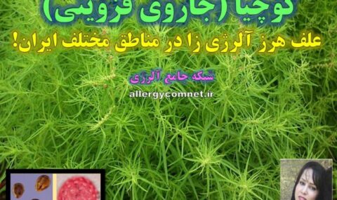 کوچیا-علف-هرز-آلرژی-زا-در-ایران-شبكه-جامع-آلرژي