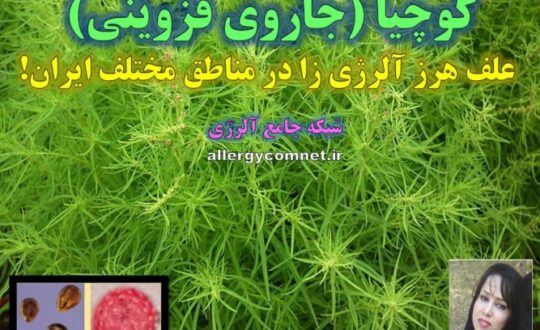 کوچیا-علف-هرز-آلرژی-زا-در-ایران-شبكه-جامع-آلرژي