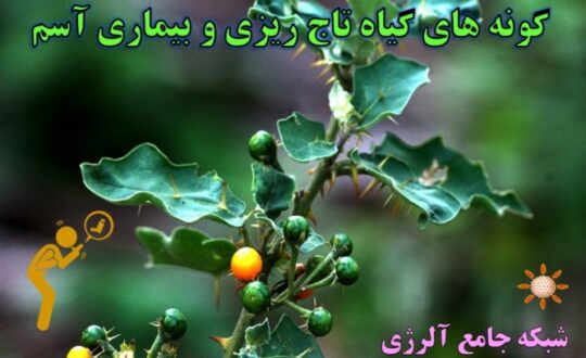 گونه-های-گیاه-تاج-ریزی-و-بیماری-آسم-شبکه-جامع-آلرژی