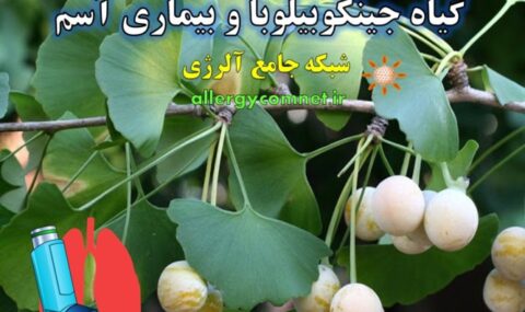 گیاه-جینکوبیلوبا-و-بیماری-آسم-شبکه-جامع-آلرژی