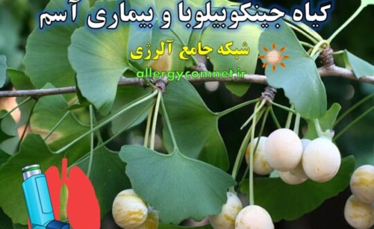 گیاه-جینکوبیلوبا-و-بیماری-آسم-شبکه-جامع-آلرژی