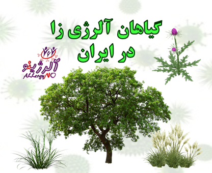 گیاهان آلرژی زای ایران -اسلایدر-آلرژینو